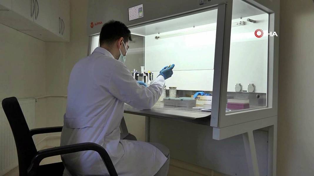 O kentin balı, Fransa'da binlerce markette satılacak! Avrupa Birliği tarafından tescillendi, tonlarca ihraç ediliyor 15